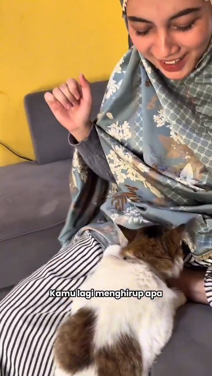 Namanya juga kucing 😂 📽️ Shandyegaputri