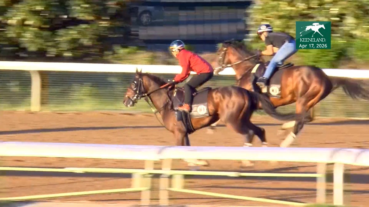 Golden Tempo Breezes Sharp Half-Mile Toward Kentucky Derby Start. Read #BarnNotes →