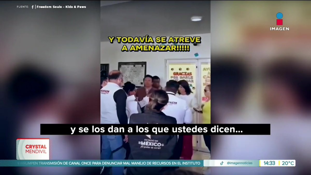 Golpeados, electrocutados y quemados: Así fueron sacrificados perros y gatos en situación de calle en #Tecámac. #NoticiasImagen #YoTeVeo #ImagenNoticias con Crystal Mendivil Imagen Crystal
