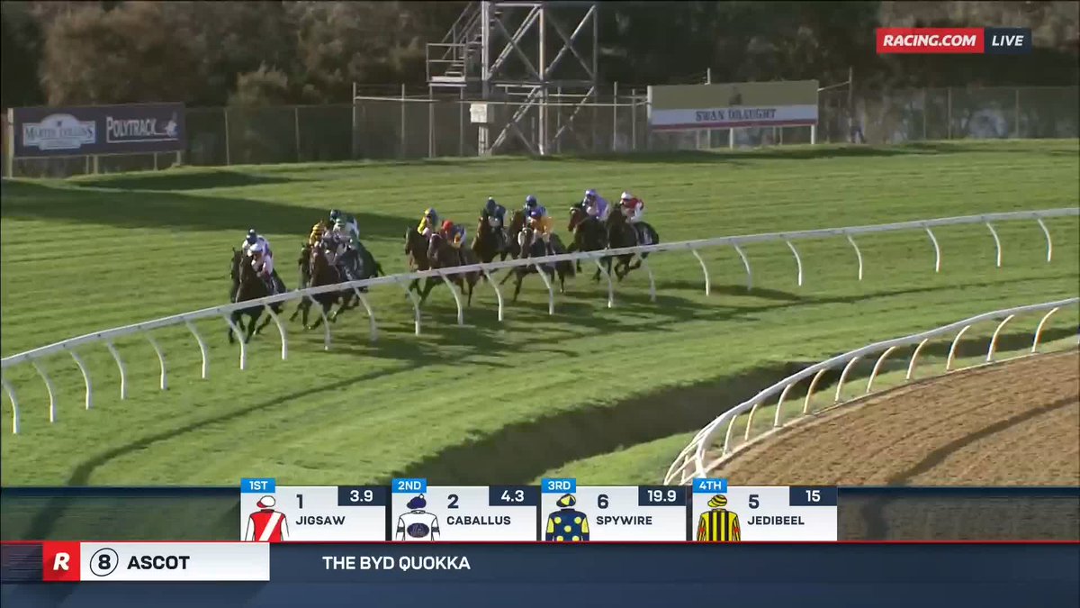 The Quokka | Jigsaw SEVEN in a row for Jigsaw! 🙌 He takes out The Quokka with a dominant run from start to finish under Logan Bates 😮‍💨 📺 Ch. 78/68, Foxtel 529, Kayo or via our app