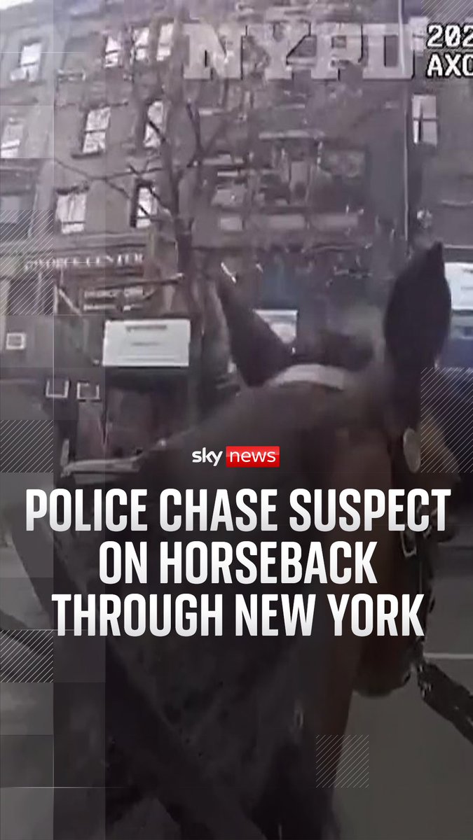 A police officer and his horse were all it took to catch a suspected purse snatcher through the streets of New York. They managed to recover the purse &amp; apprehend the suspect