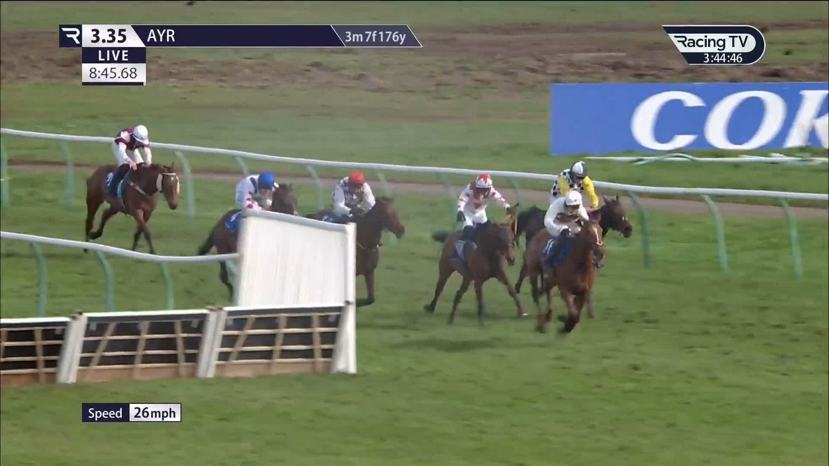 A belter of a run from ISAAC DES OBEAUX in the Scottish National despite a bad mistake at the fourth last! 11/1 place for oddschecker 🤝 I could not have found the winner myself, but fair play to KAP VERT.