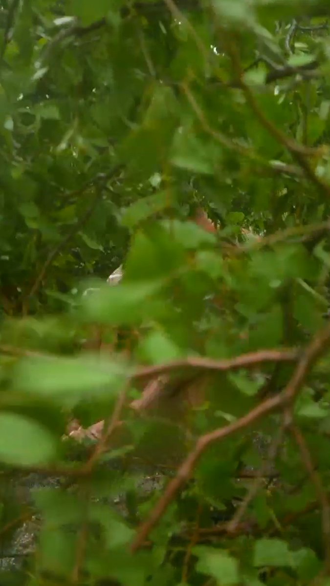 There's no way out of this storm ⛈️ Don't miss a new #NakedandAfraid Sunday at 8P on Discovery.