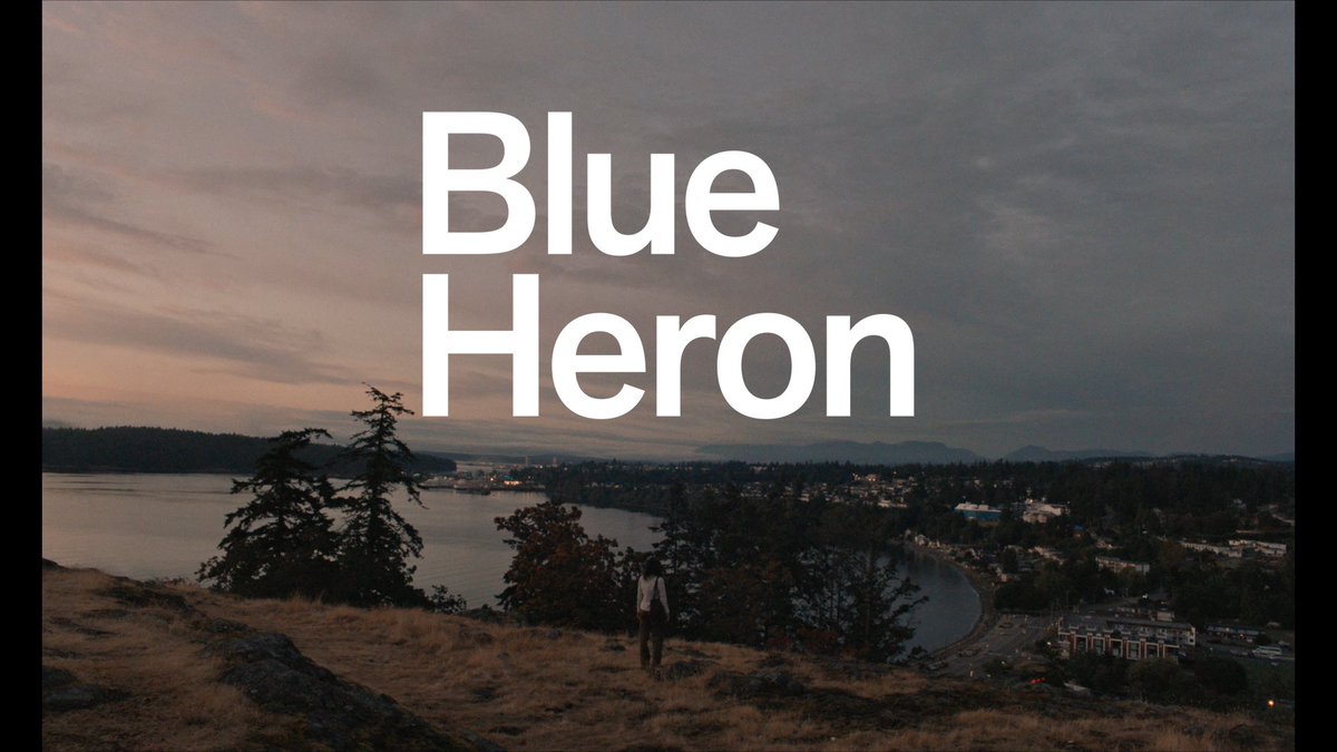 This weekend, see BLUE HERON — the transcendent feature debut from Sophy Romvari — in theaters c/o Janus Films. 💙 Sophy Romvari's feature debut is a lyrical and profound testament to the things we carry with us, masterfully chronicling the haze of a languid summer and the hyaline clarity of the moments that defined it.