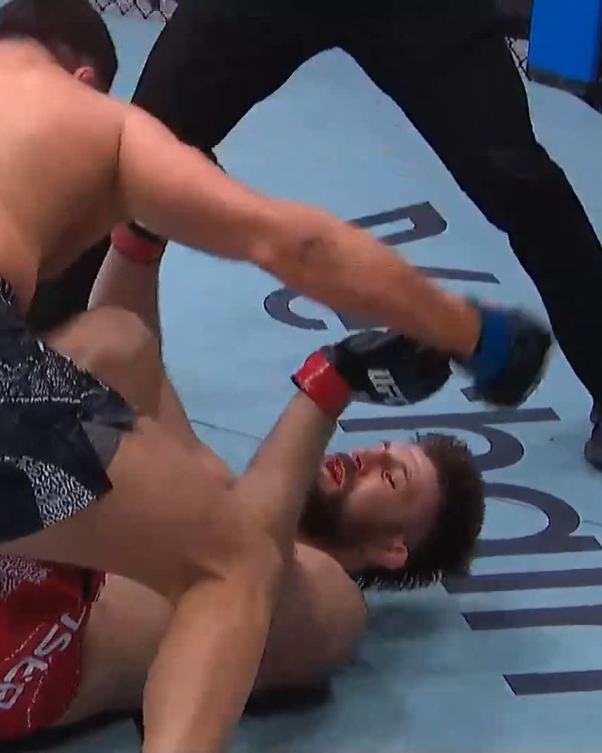 TURKISH POWER 🇹🇷👊 Gokhan Saricam with the KO win in his debut! #UFCWinnipeg