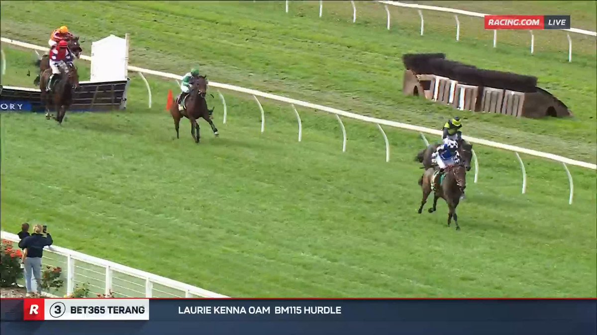 Terang Race 3 | Golden Crusader He remains unbeaten over the jumps! 👏🏻 Price Kent Racing 🥇 Next Best wins for Brent Zerafa 📺 Ch. 78/68, Foxtel 529, Kayo or via our app REPLAYS: