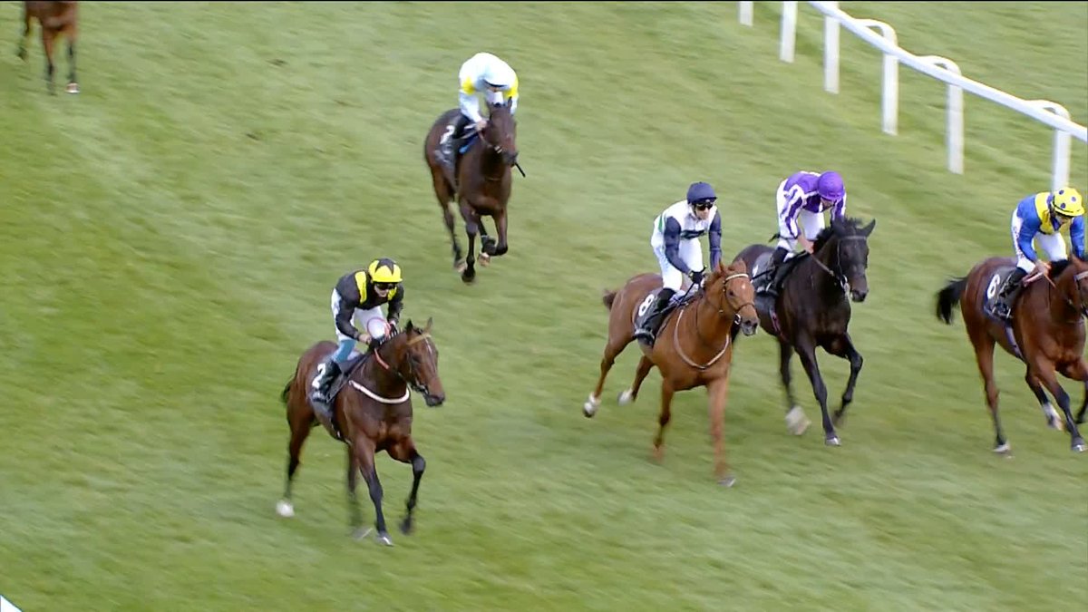 The 2000 Guineas market is still wide open 🤯 How impressive was this from Alparlsan?