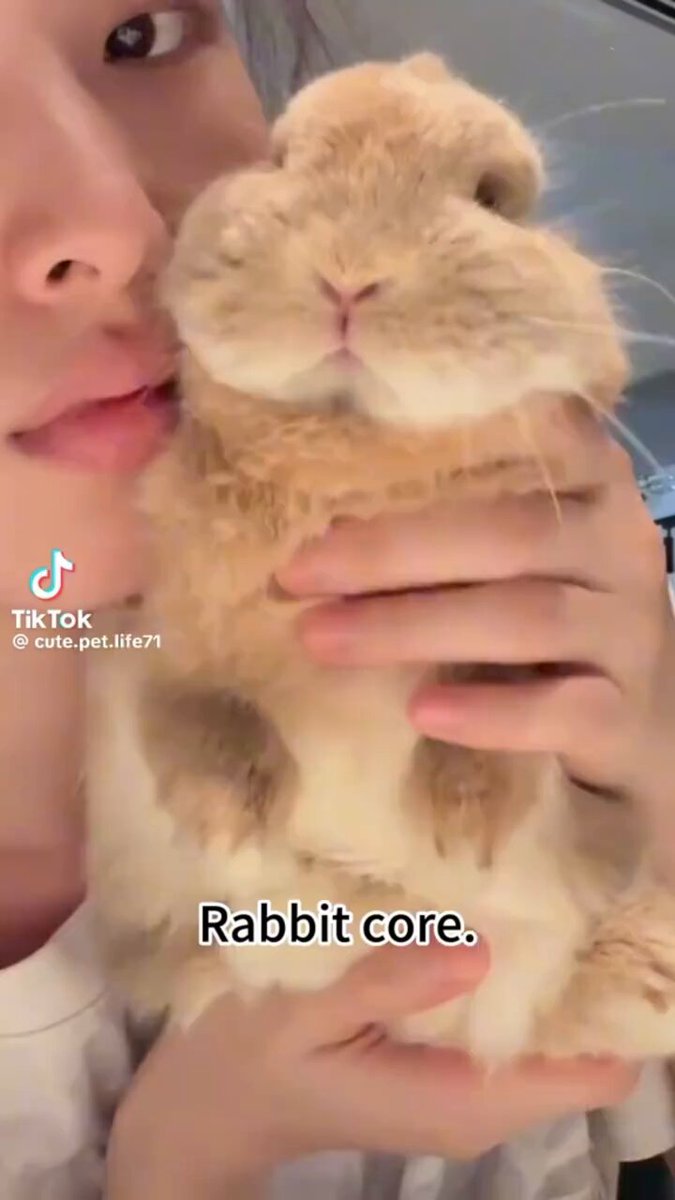 Que tal um rabbit core para começarmos bem esse domingo?