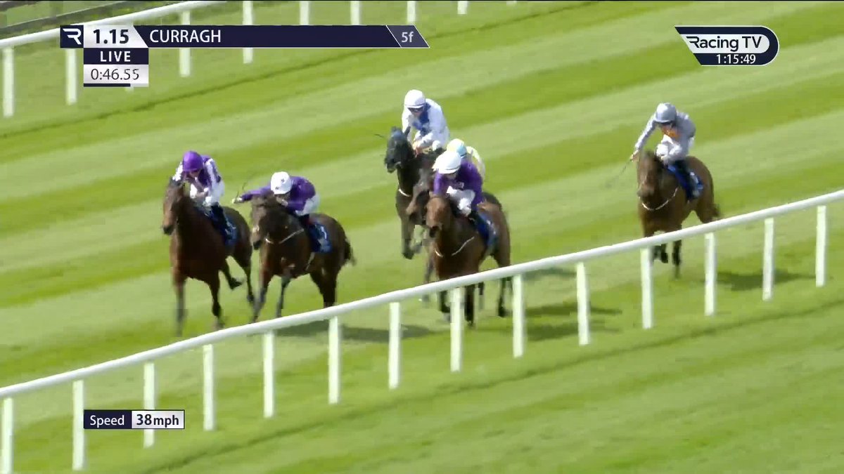 ⭐️👀 €135,000 purchase Star Prospect (Starman) makes a successful start for Joseph O'Brien and Joey Sheridan ✅ Irish National Stud | The Curragh Racecourse
