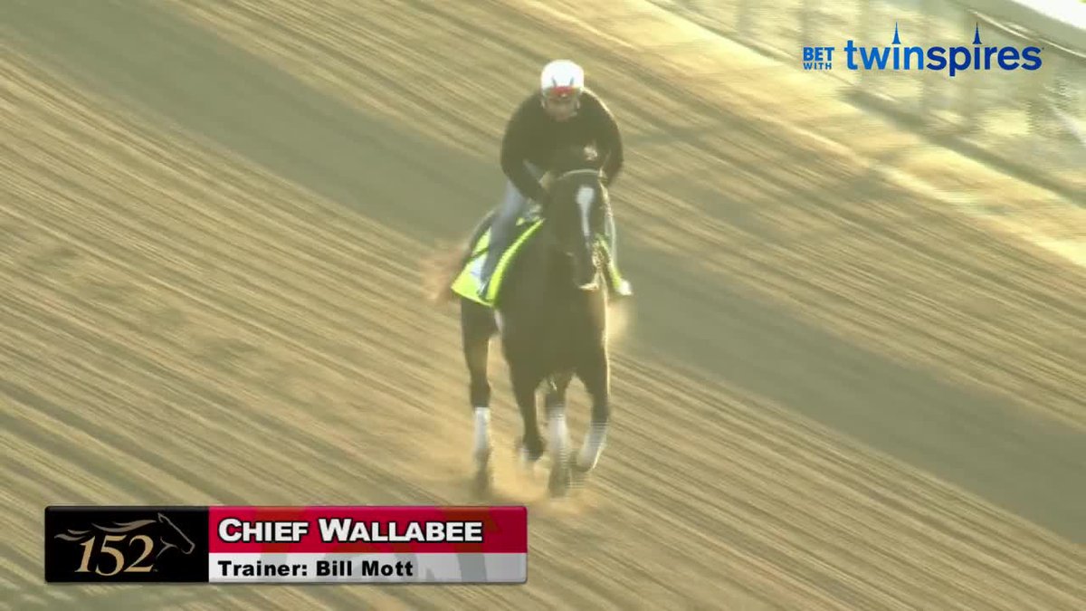 "I'm more ipressed with a horse's defeat than their victory." - Tony Calo CHIEF WALLABE officially has a spot in the starting gate on the 1st Saturday in May. The Bill Mott trainee took to the track today for a light gallop under the #TwinSpires.
