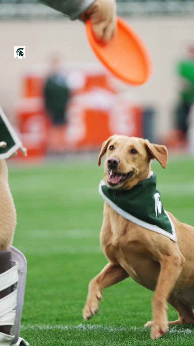 A paw-sitively amazing debut for Zeke V 🤩