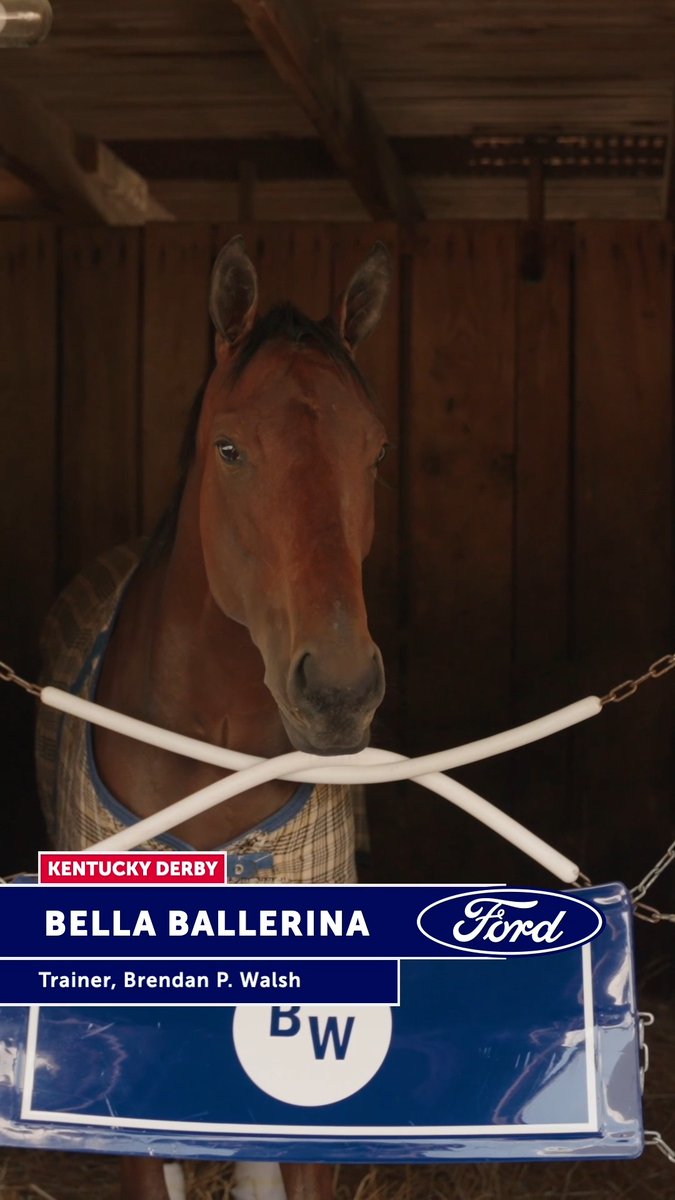 Number 3 on the leaderboard, Kentucky Oaks contender Bella Ballerina, has arrived at Churchill Downs! 🌸