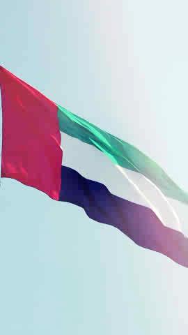 Together, we raise the UAE flag high 🇦🇪 As part of the #ProudOfUAE campaign, Dubai Police distributed 800 flags across residential areas—bringing communities together and celebrating a shared sense of national pride and identity.