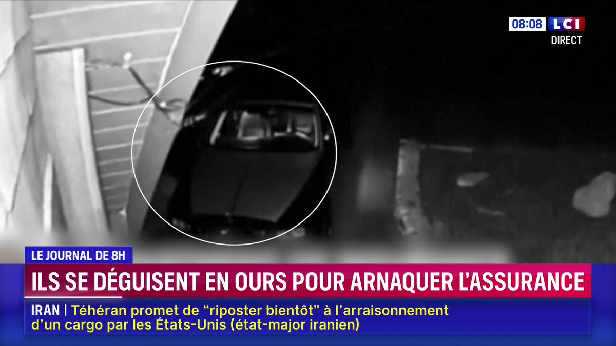 🐻 Ils se déguisent en ours, saccagent leur voiture de luxe pour tenter d'arnaquer l'assurance