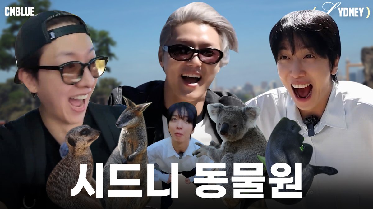 🦁 : 야 얘기 많이 들었다 정용화 (???) I CNBLUE (씨엔블루) : OFF THE DAY in Sydney🇦🇺 ✔ #CNBLUE #씨엔블루