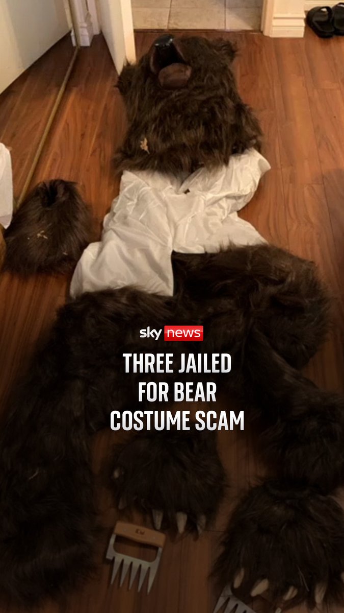 Three people have been sentenced in California for an insurance scam involving a human dressed as a bear 🐻