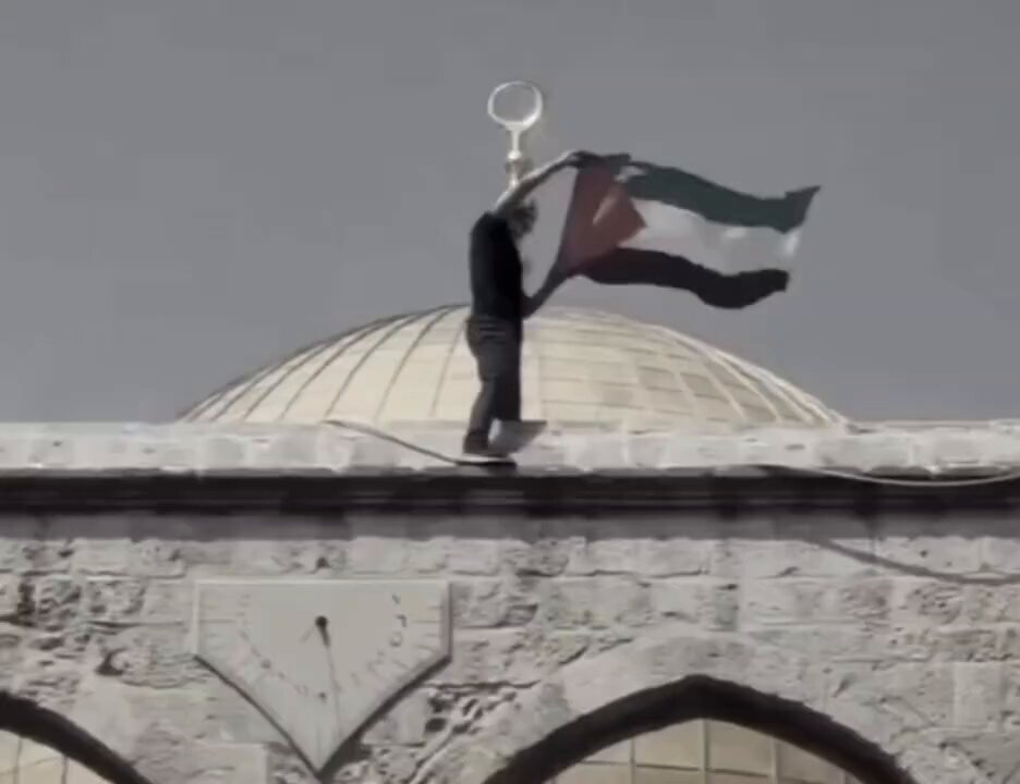Free Palestine