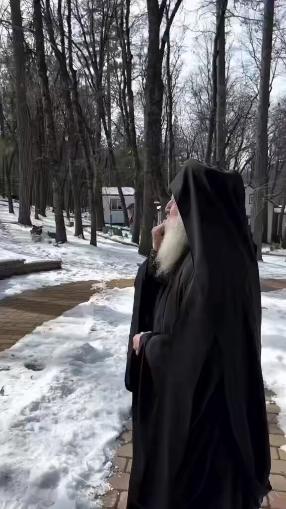 “The Spirit of God teaches the soul to love every living thing… the Spirit of God teaches love towards all, and the soul feels compassion for every being.” + St. Silouan the Athonite