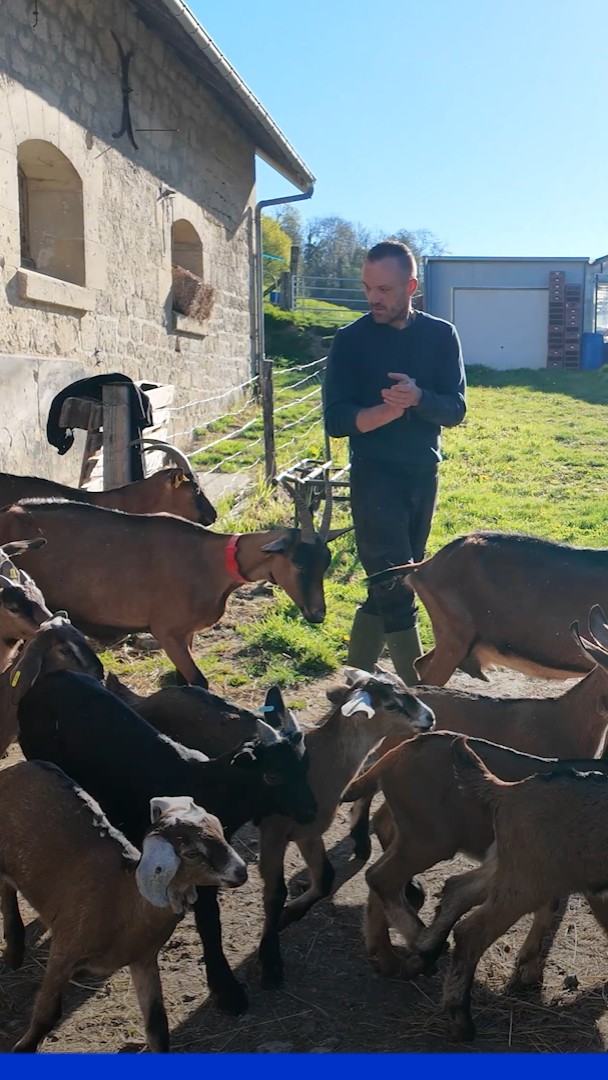 "90% de non-récidive": ces détenus purgent la fin de leur peine dans une ferme en Picardie