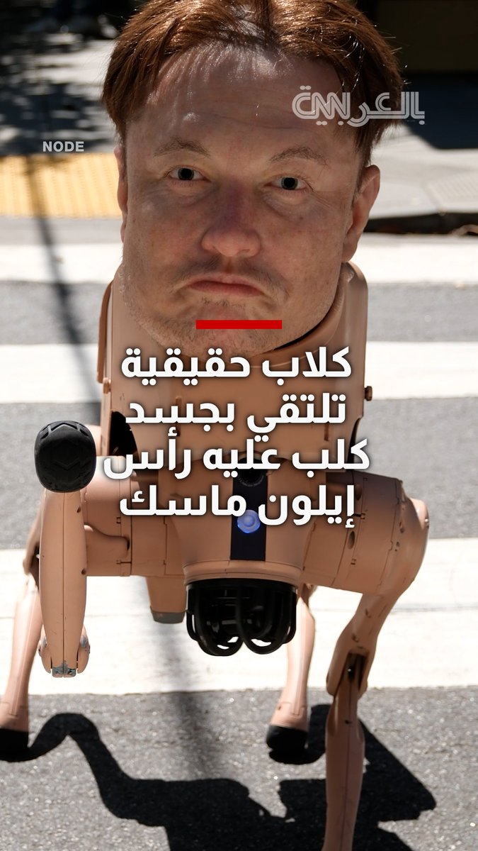 كلاب حقيقية تلتقي بجسد كلب عليه رأس إيلون ماسك
