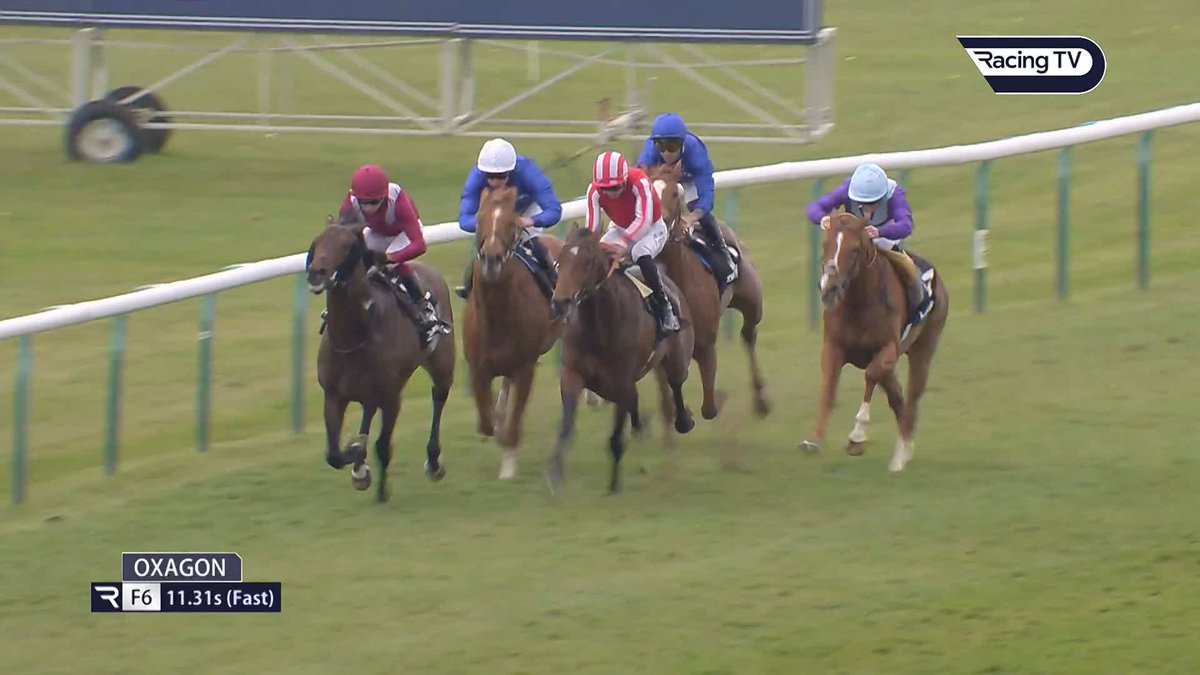 🗣️ "I think Oxagon is a solid contender in the 2000 Guineas." Angus McNae &amp; Josh Kerr discuss Craven Stakes winner Oxagon &amp; also highlight Avicenna as a horse to follow #TheVerdict | RaceiQ | World Pool