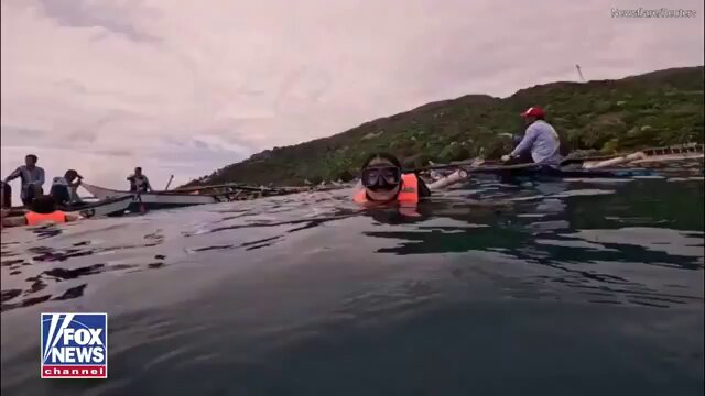 Filipinler'de bir kadın su altında fotoğraf çektirirken dev bir balina köpekbalığına çarptı.