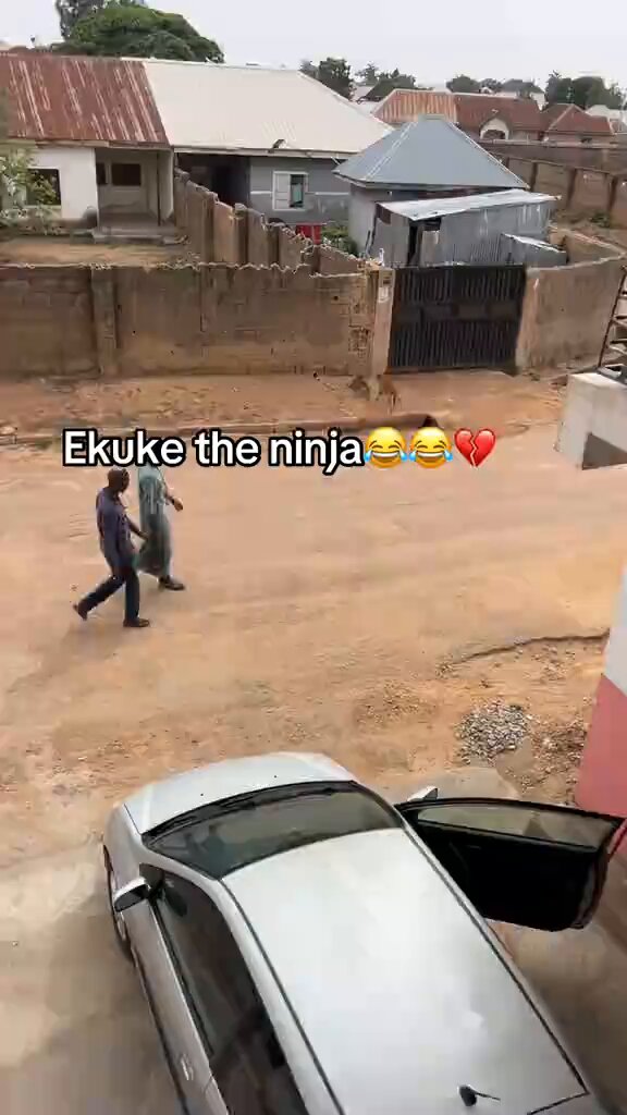 Nothing way I no go see for this Naija 😳🙆🏽‍♂️😂 This Ekuke Dog na truely ninja , Saw the dog climb a whole fence… took her like few mins 😭 determination pass human own