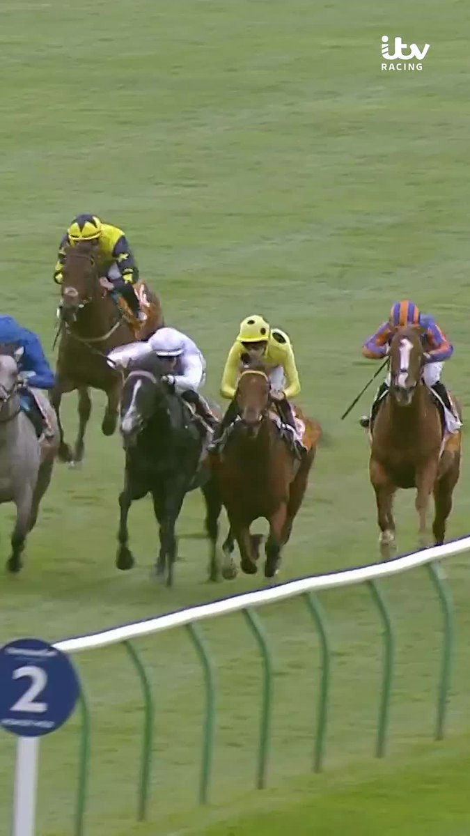 The current favourite for the 2000 Guineas 👀 Bow Echo ⚡️