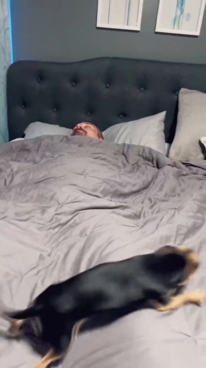 Wake up, wake up! 😂
