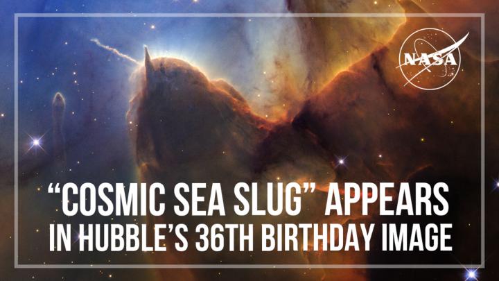 Under the sea or up in space? 🌊 Join Dr. Jennifer Wiseman on a tour of Hubble's 36th anniversary image of the Trifid Nebula. Find out more about this new view and "cosmic sea slug":