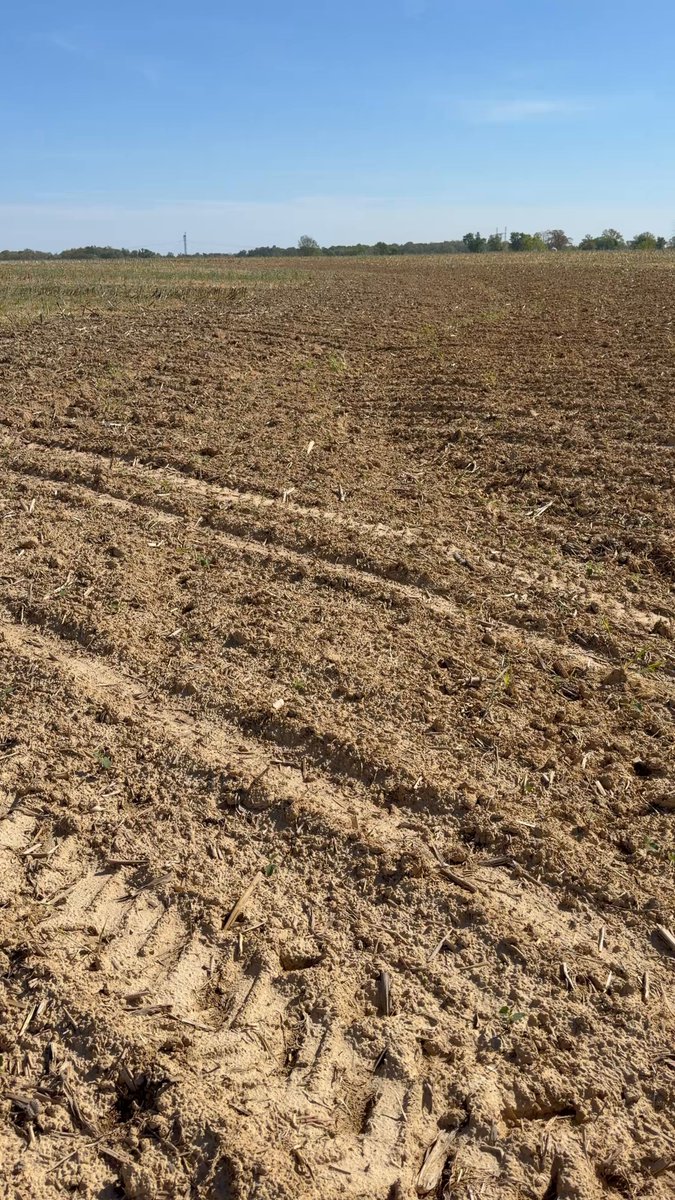 Alright, I give up and need help here guys. Please. Wherever we ran our 2660 VT to touch up washouts/ditches there isn’t a bean to be found but as soon as you get to the exact inch of where the spring freshner was ran the beans are excellent. Backdrop, planted on 3/25 at 100k plant pop at 1.5” deep. Been dry with some small rains. Makes zero sense to me why nothing. NO residual used yet, just burnt down with roundup to start killing the rye.