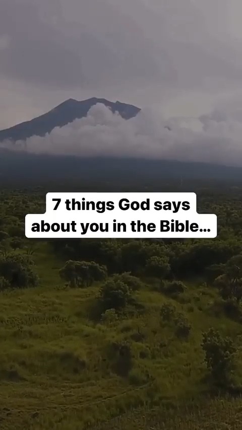 7 things God says about you in the Bible! Make sure to save this for later or share it with a friend who might need to be reminded of what God says about them!