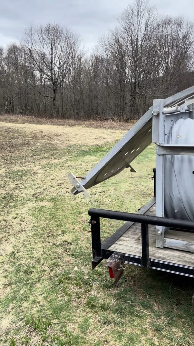🐻 #UPDATE: The bear that fell from a tree after being tranquilized in Albany on Tuesday has been released. The New York State Dept. of Environmental Conservation sent this video. ➡️