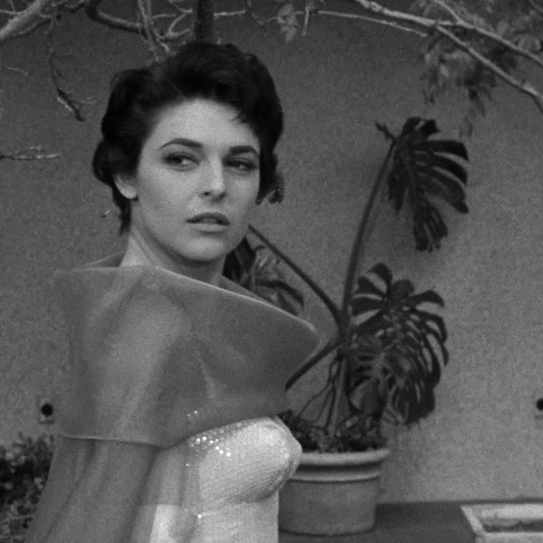 Evening viewing recommendation? On Criterion Channel, watch NIGHTFALL (1956) in our Three Noirs by Jacques Tourneur collection! 🖤 Starring Brian Keith, Aldo Ray, and Anne Bancroft, it's the tale of an innocent man trapped in a senseless and lethal web of seduction and crime. The cinematography by noir specialist Burnett Guffey captures the shadowy, neon-lit city as well as a vast and borderless winter landscape, ranking among his greatest achievements.