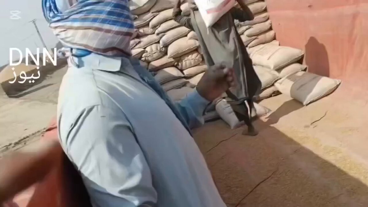 کرپشن کی انتہا 😱 ڈھرکی ۔۔۔۔۔18/4/2026....یہ ہے سندھ میں گندم خریداری کے مراکز کا حال سن بھی لیں دیکھ بھی لیں