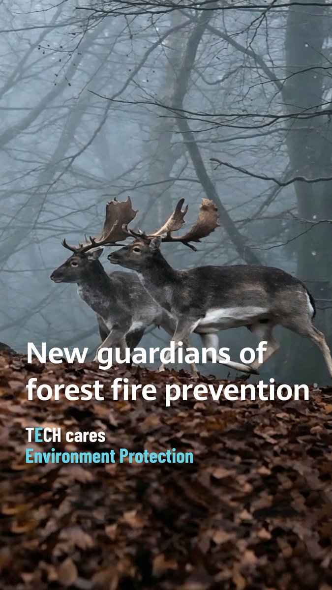 Under extreme conditions, a forest fire can spread across the area of 11 football fields in just one minute. Since 2022, Huawei has worked with Greek partners — using drones and AI — to detect forest fires at the earliest stage, giving rescue teams precious time to get ahead of the fire.
