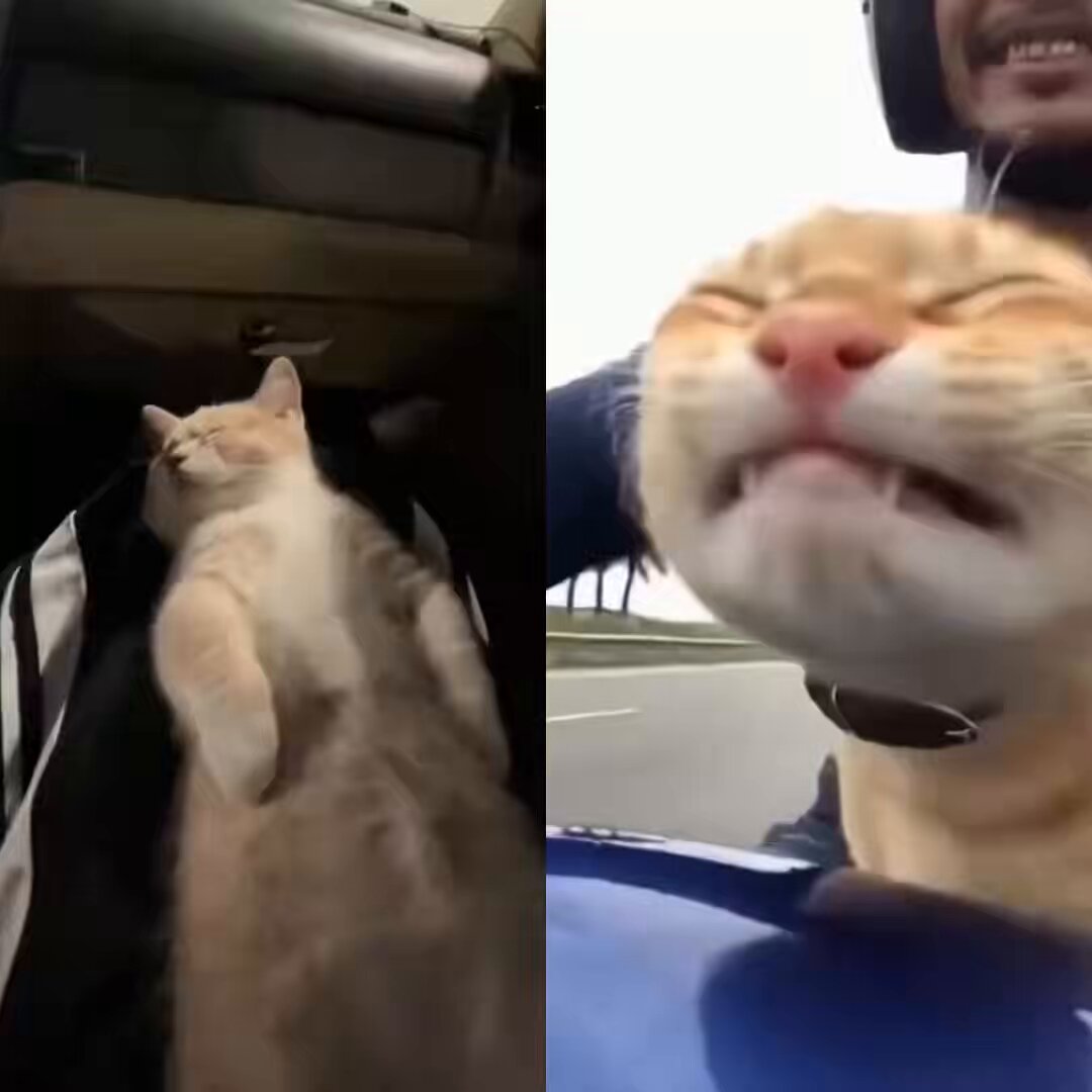 No, this difference 😭