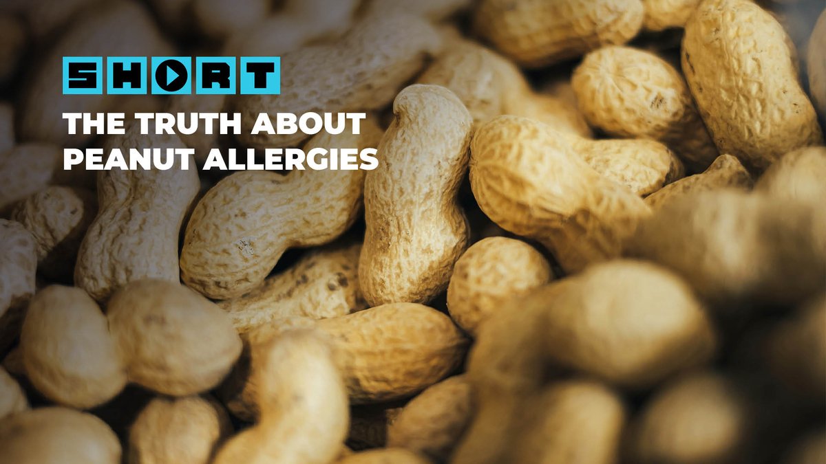 Between 2000 and 2008, childhood peanut allergies in America more than tripled. The cause? A widely misread medical study … that barely mentioned peanuts. Our new Short explains how good intentions created an epidemic — and how science has started turning it around.