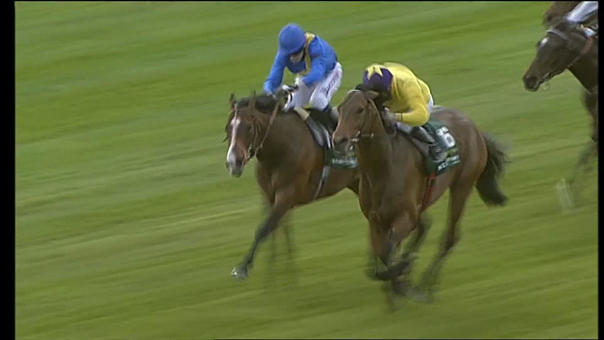 ๐คฉ ๐๐๐ ๐๐ก๐ ๐๐ญ๐๐ซ๐ฌ ๐๐๐๐ ๐๐๐๐ฌ๐จ๐ง ๐คฉ 2000 Guineas ๐ The Derby ๐ Eclipse Stakes ๐ International Stakes ๐ Irish Champion Stakes ๐ Prix de l'Arc de Triomphe ๐