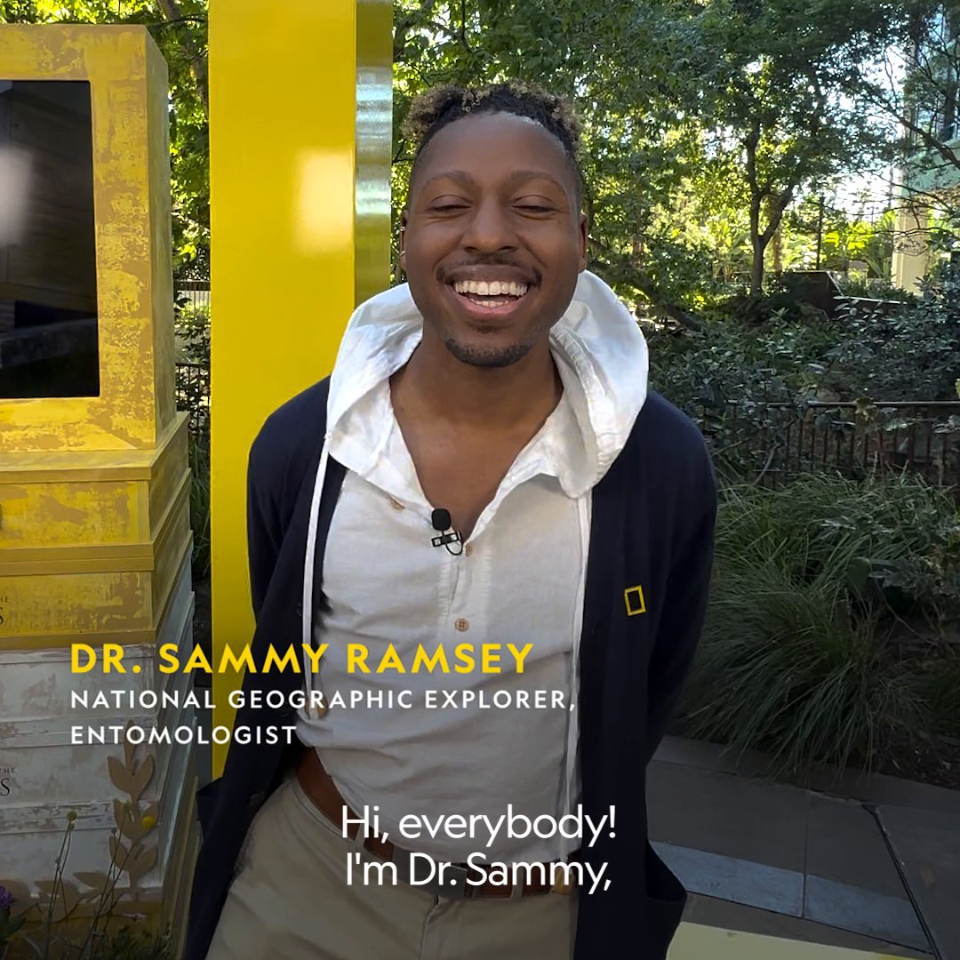 Getting to see bees up close is always exciting—but for Dr. Sammy Ramsey, watching how broomstick bees protect their food for the next generation was truly unforgettable.