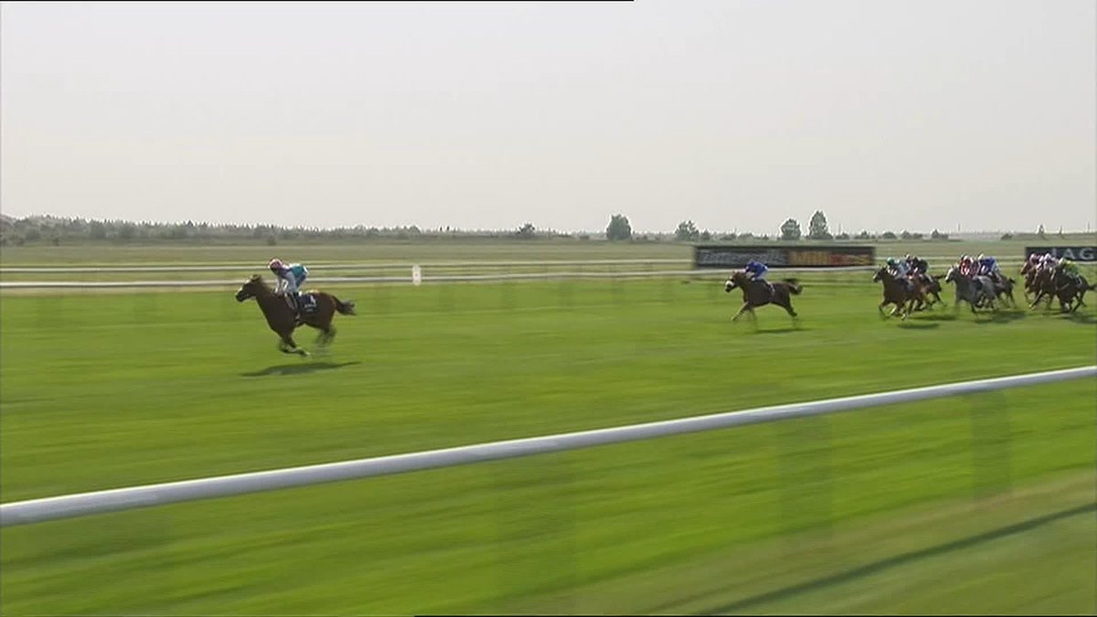 Be honest... How often do you think about this? 🏇💨