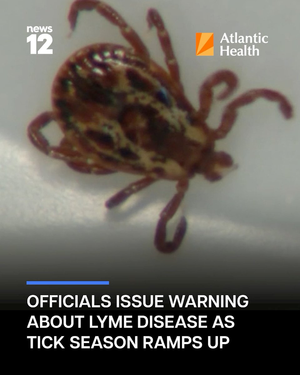 N12 HEALTH: N12 HEALTH: New Jersey’s Lyme disease burden remains high, with 6,256 cases reported in 2024, while tick bite–related hospital visits are up 25% nationwide compared with last April. #News12NJ #AtlanticHealth #N12Health