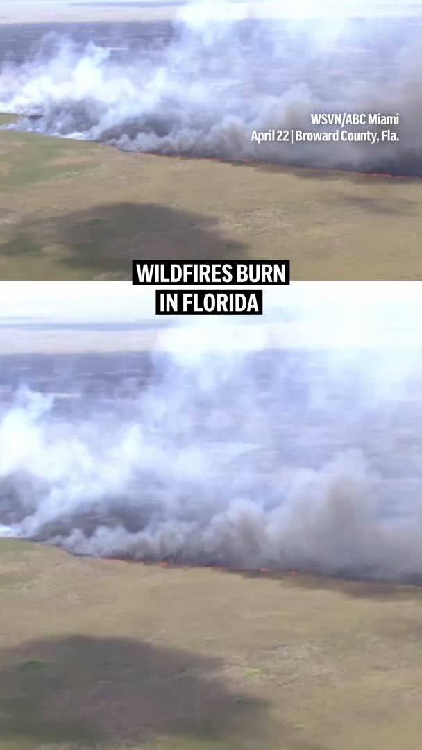 Wildfires burning across the southeastern U.S. were intensifying today. Some of the biggest blazes are along Georgia’s coast and around Jacksonville, Florida, a state that is facing one of its worst fire seasons in decades. In South Florida, a large fire was burning in the Everglades west of Broward County on Wednesday. It was not yet clear how the wildfires started, but a long drought, low humidity and strong winds were fueling them.