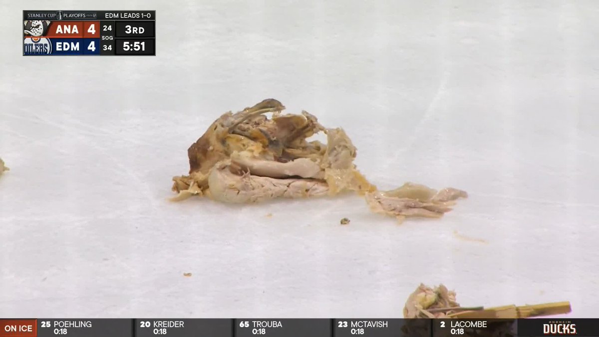 who the fuck threw rotisserie chicken on the ice 😭