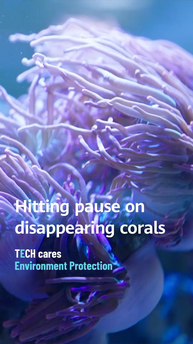 Coral reefs cover <0.2% of the ocean floor, but support 25-30% of marine life. Climate change, pollution, and overfishing threaten their survival. But, with 5G & AI, important video analysis that once took days can now be completed in just minutes, boosting coral conservation.