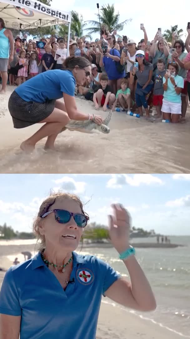 A rescued turtle was released back into the wild on Earth Day in Marathon, Florida Keys.