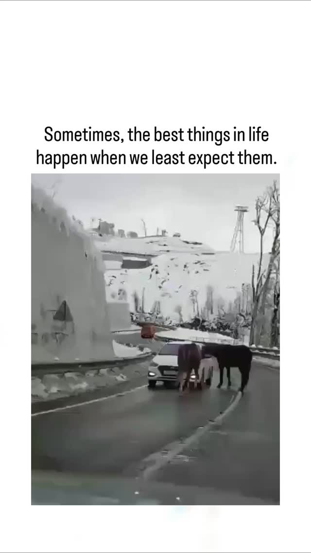 That’s how the other car got stuck