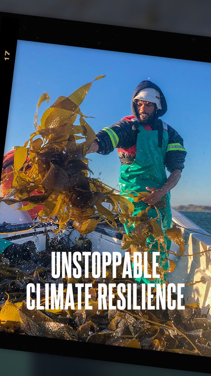 From restoring ecosystems to strengthening communities, organisations are building resilience where it matters most. Innovators are stepping forward to make impact unstoppable in climate action. If you’re advancing climate solutions, apply now.