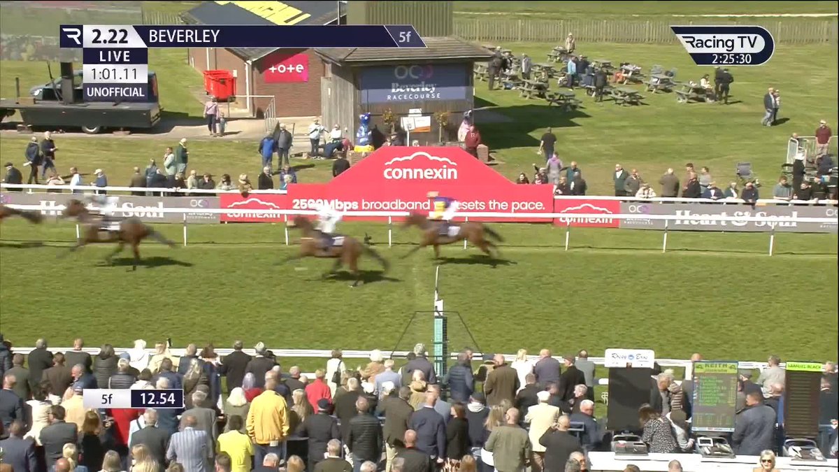 🚀 Smart debut from €43,000 buy Matteo (Coulsty)