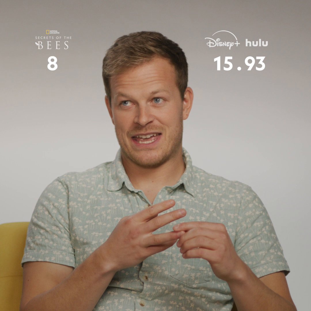 There are around 20,000 bees out there, so how many can Bertie Gregory name in just 30 seconds? Bee sure to stream #SecretsOfTheBees on Disney+ and Hulu if you want to improve your knowledge!